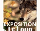 Le loup à la médiathèque de Sainte-Mère-Eglise